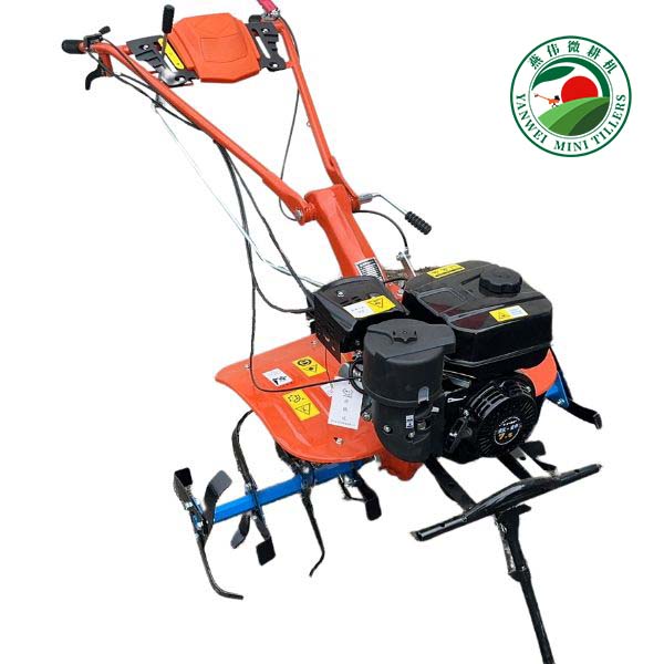 Gasoline Engine